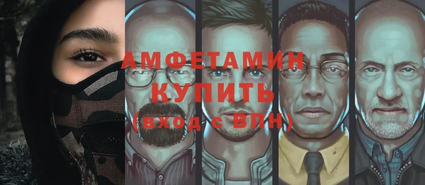 ПСИЛОЦИБИНОВЫЕ ГРИБЫ Богданович