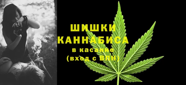 прущие грибы Богородск