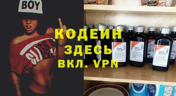 ПСИЛОЦИБИНОВЫЕ ГРИБЫ Богданович