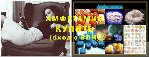 прущие грибы Богородск