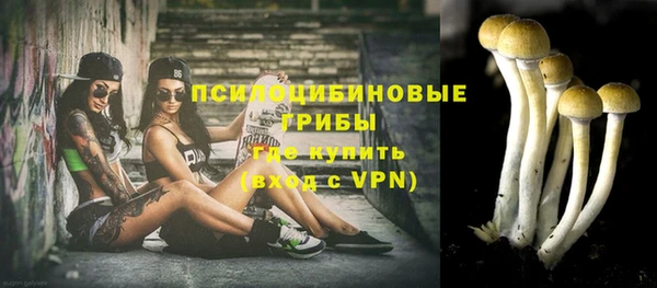 метадон Белокуриха